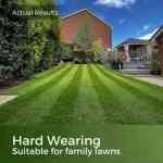hard wearing grass seed