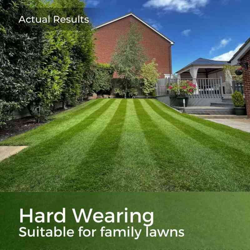 hard wearing grass seed