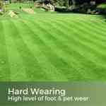 hard wearing grass seed
