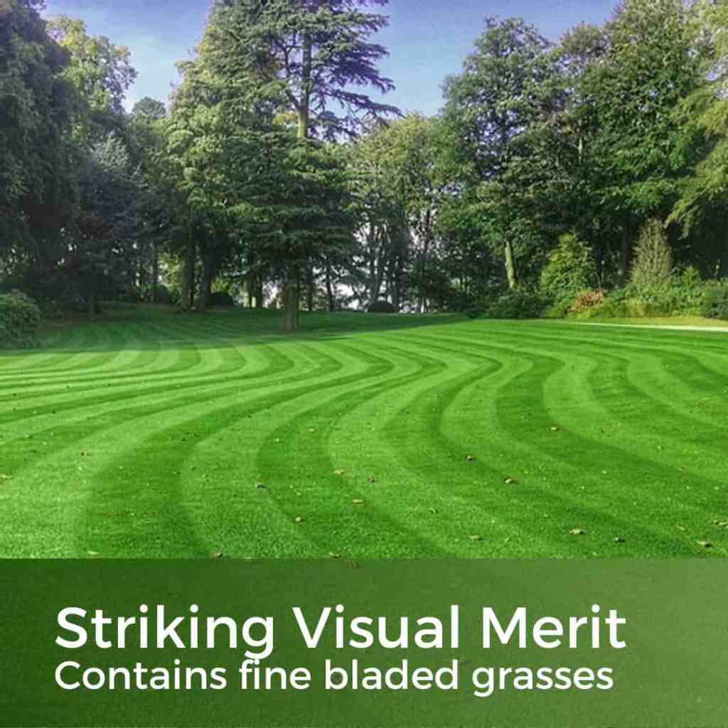 fine bladed grass seed