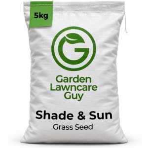 grass seed for shaded areas