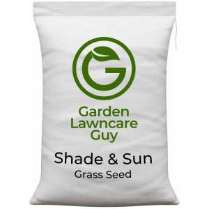 grass seed for shade