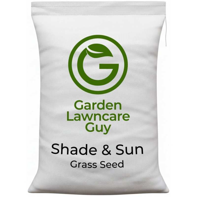 grass seed for shade