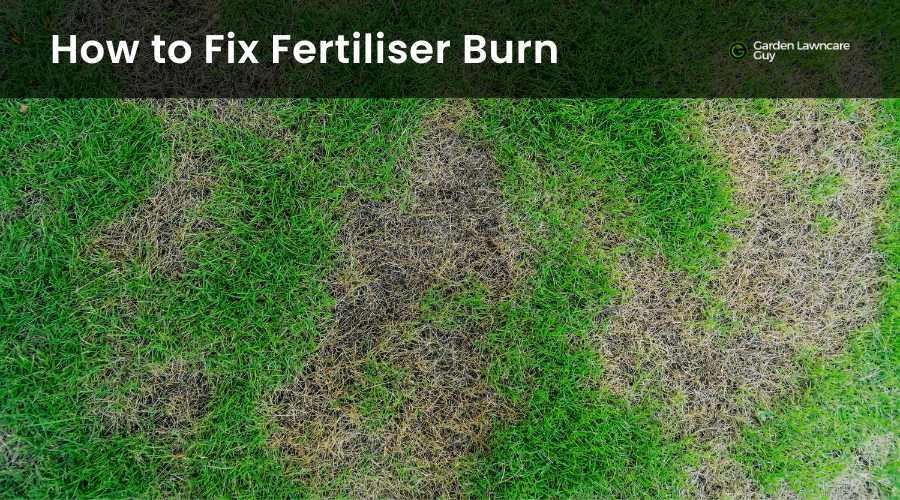 lawn with brown patches from fertiliser burn