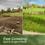 fast growing grass seed