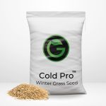 winter active grass seed