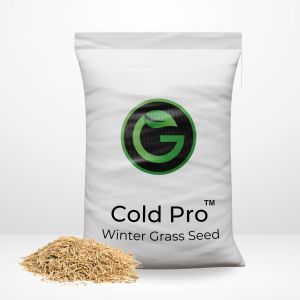 winter active grass seed