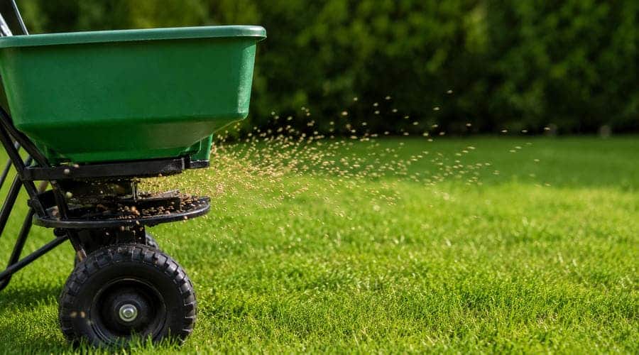 spreader applying grass seed