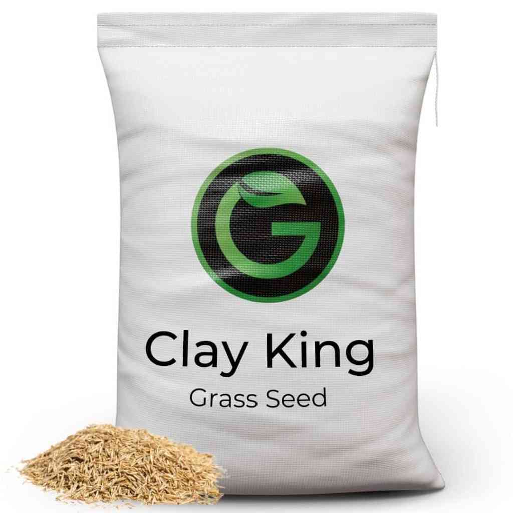 Clay king 5kg