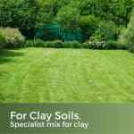 grass seed for clay soil