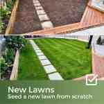 grass seed for new lawns