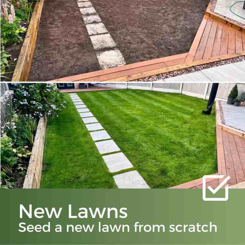 grass seed for new lawns