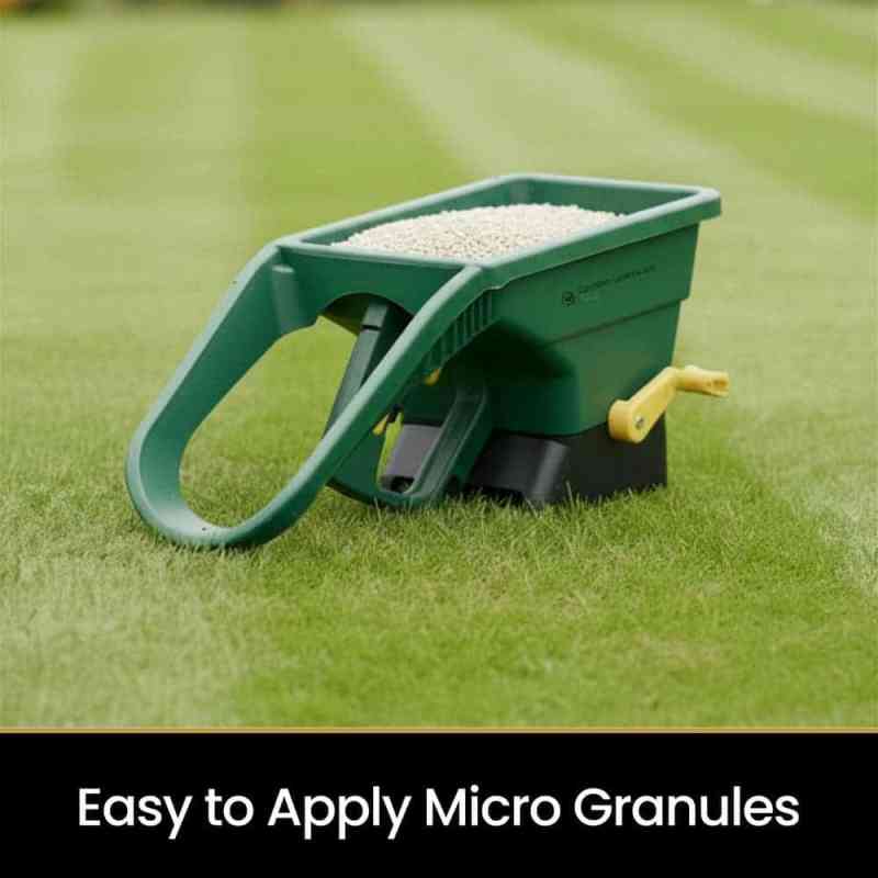 spreading autumn lawn feed with a spreader