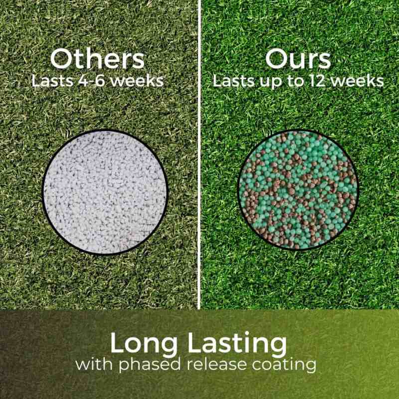 phased release fertiliser