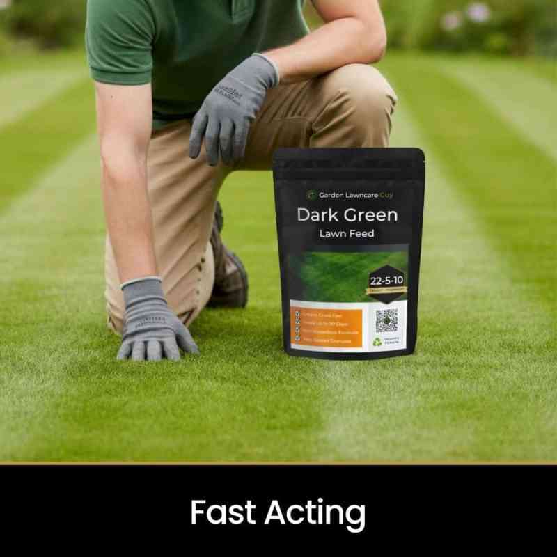 fertiliser-spring-fastacting fast acting granular fertiliser