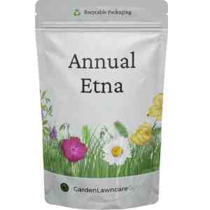 mixed colorful annual wildflower seeds