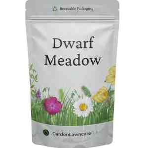 Dwarf Meadow Wildflowers