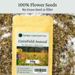 wildflower-cornfield-2