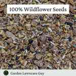 wildflower-premium (2) uk native wildflowers