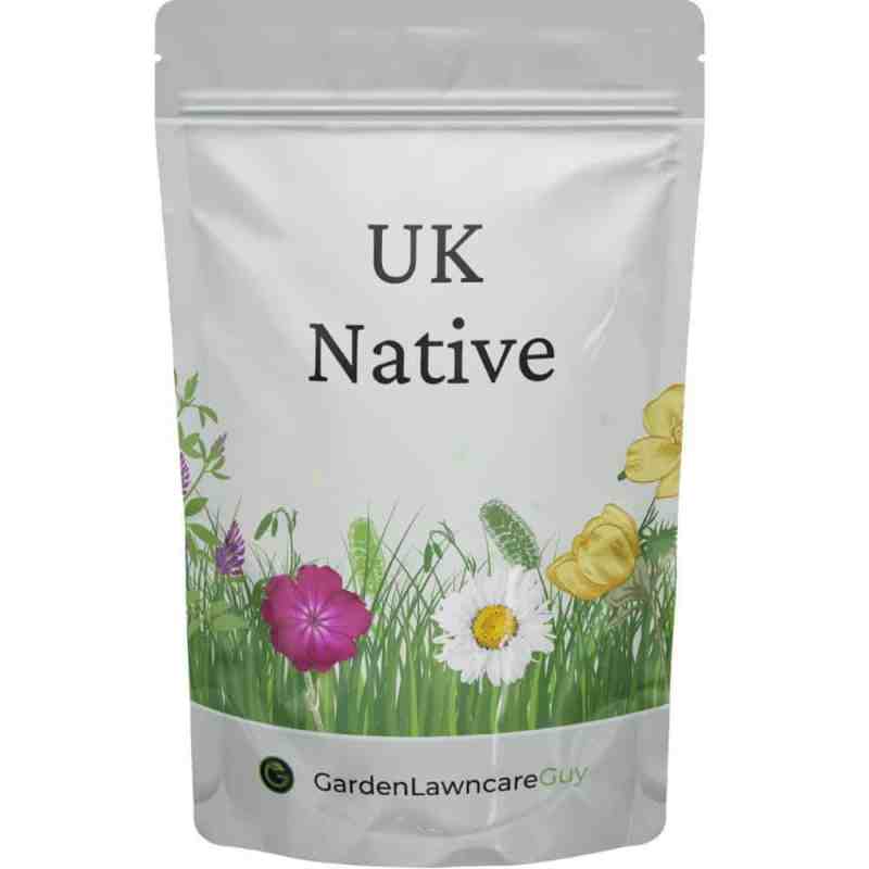 wildflower-premium-cropped