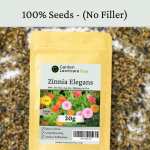 flower-zinnia (3) zinnia elegans