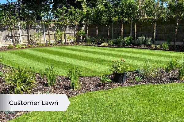 iron sulphate for grass