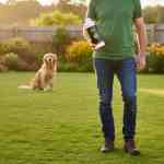 liquid-gypsum-dog-1 liquid-lifestyle