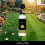 using iron sulphate in spring and autumn