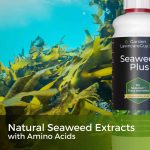 seaweed extracts