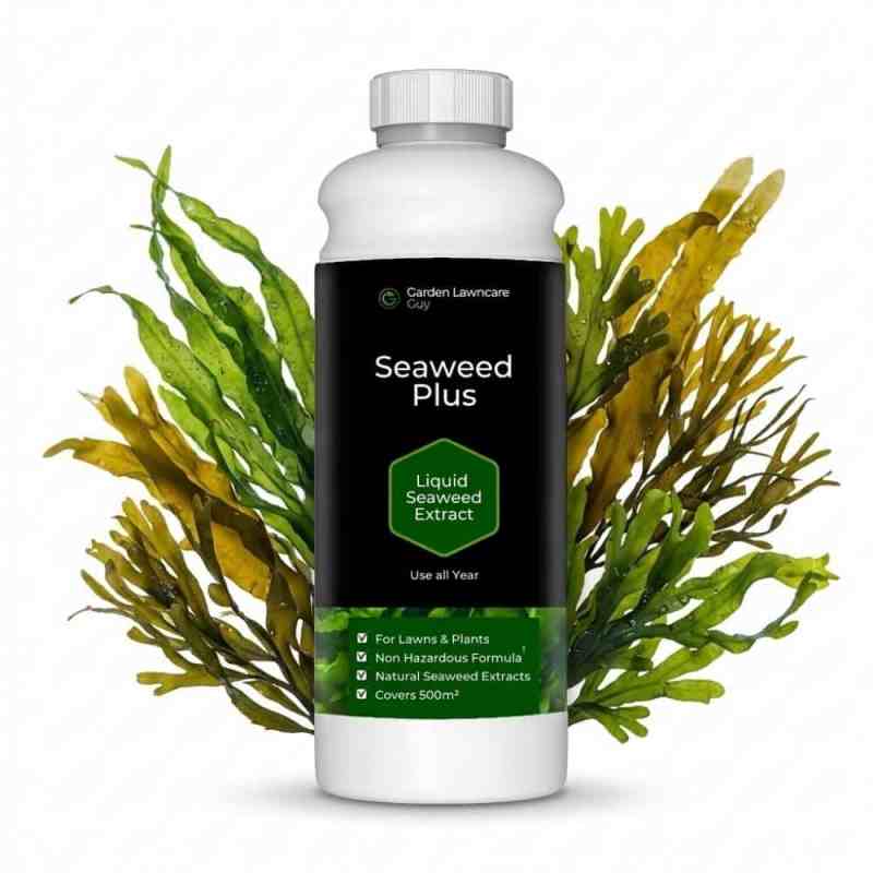 seaweed for lawns