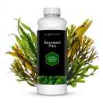 liquid seaweed for lawns