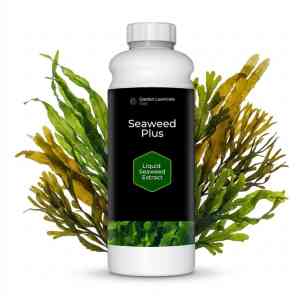 liquid seaweed for lawns