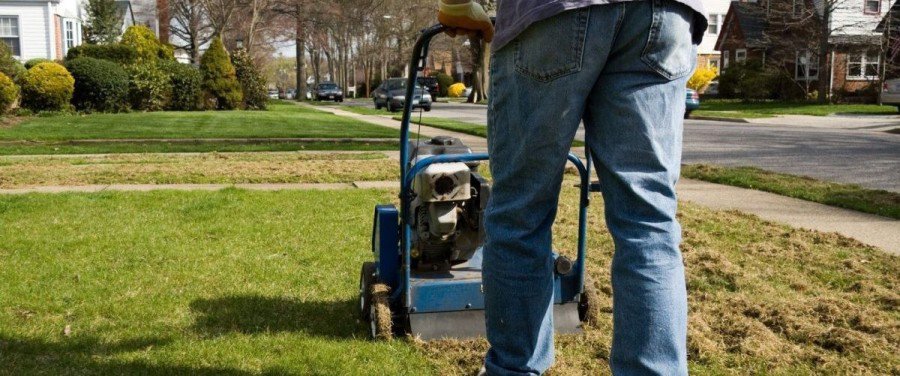 when to scarify your lawn