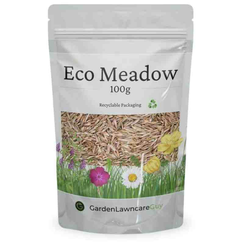 grass and wild flower meadow mix