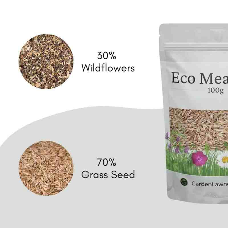 wildflowers with grass seed