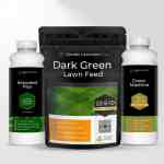 bundle-ultimate-spring