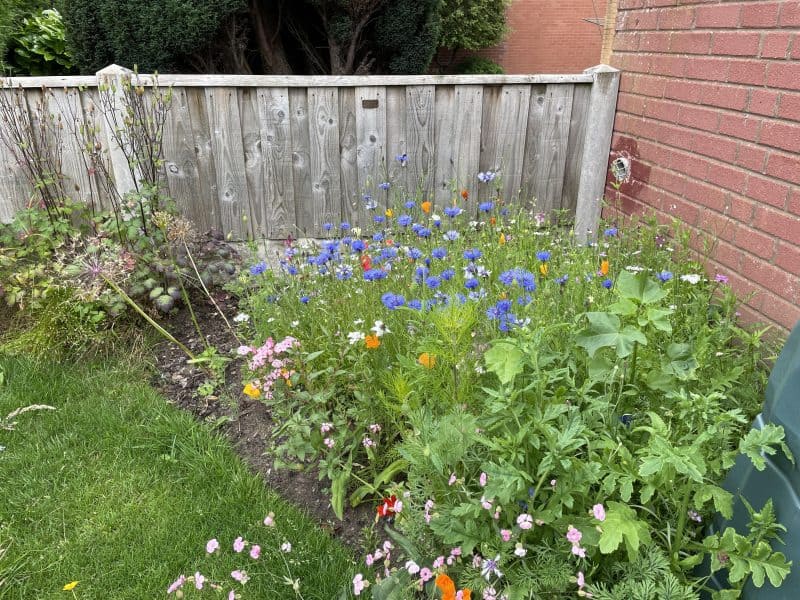 Image #4 from paul mcgreevy