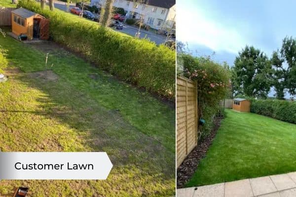 pre seed u0026 turf fertiliser