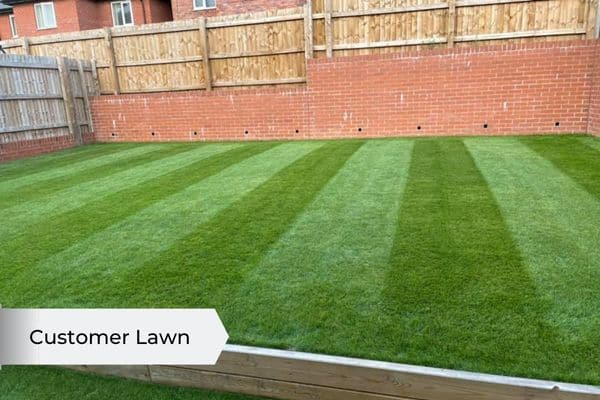 grass seed fertiliser