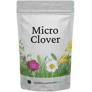 micro clover seeds for lawns