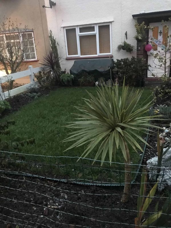 Image #1 from Gregory Plant