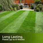 long lasting lawn feed