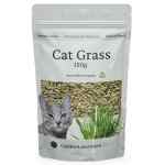 flower-catgrass-150g-web-new Cat Grass Seeds