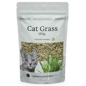 Cat Grass Seeds