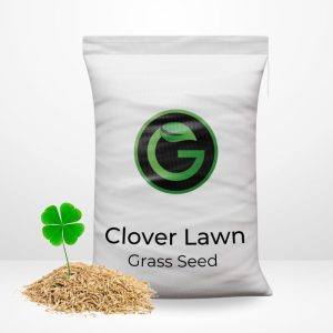 grass seed mixed with white clover