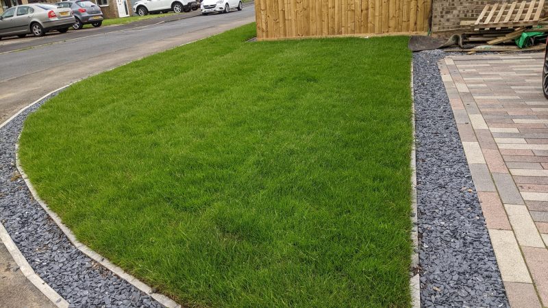 Image #5 from James Gray