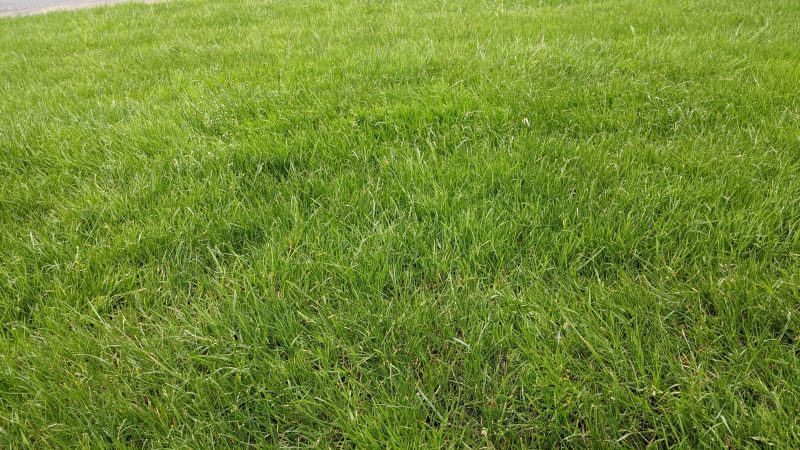 Image #3 from James Gray