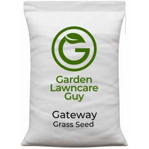 paddock grass seed