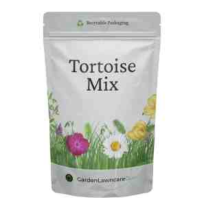 turtle tortoise seed mix