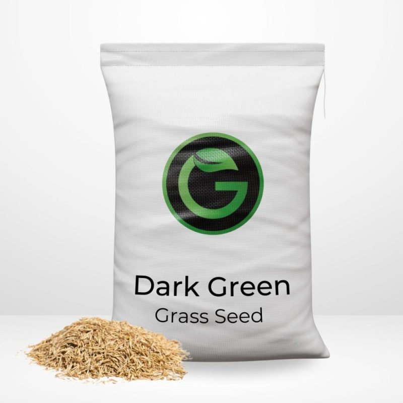 dark green grass seed